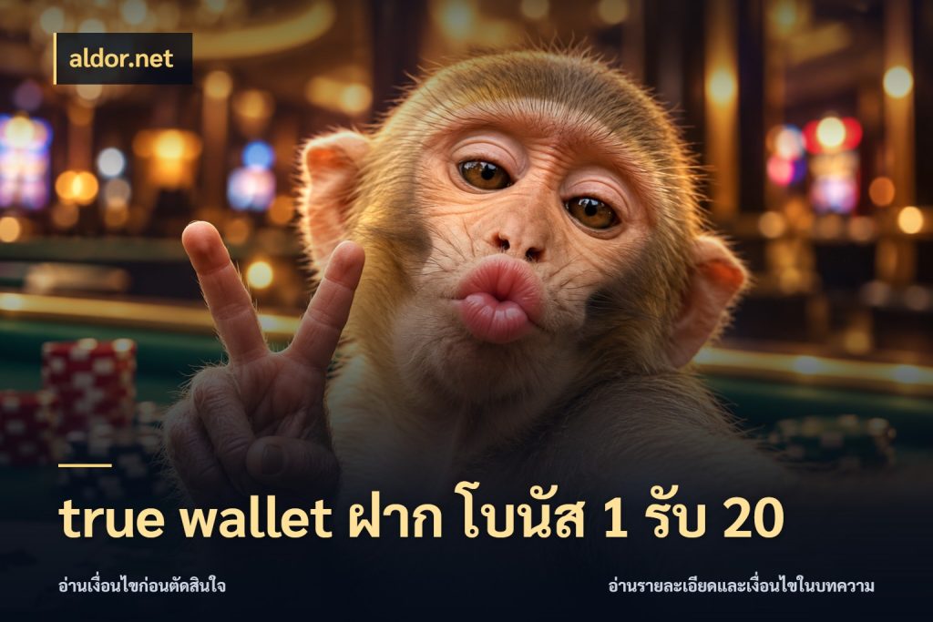 true wallet ฝาก โบนัส 1 รับ 20 สีสันของโปรฝากและยอดรับ ในมุม aldor.net